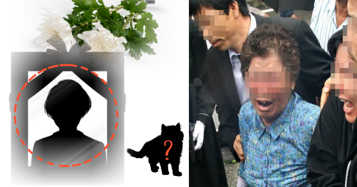 제주시 40대 여성, 나흘 전 길가에서 '이 동물'을 만지고 사망한 소식이 전해지자 가족은 오열