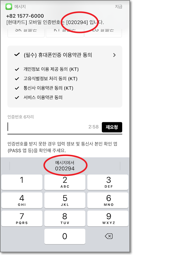 서비스-이용동의-화면
