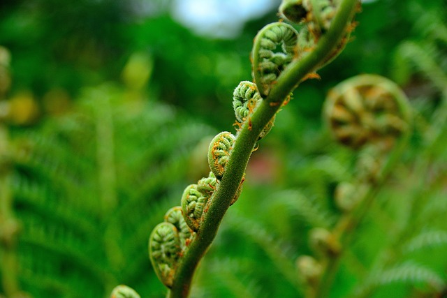 농업인 경영지원금 받는 방법