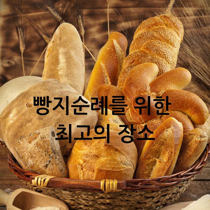 제2회 전국빵지자랑