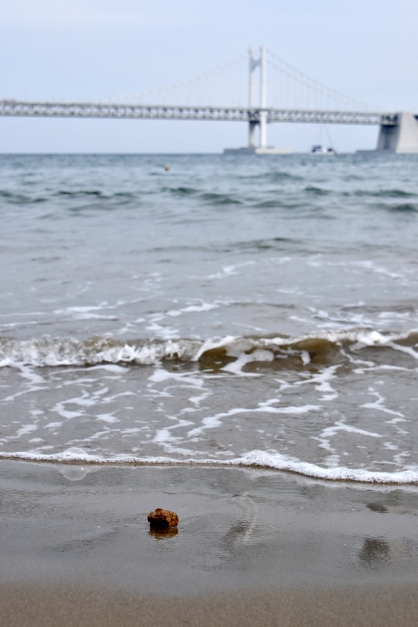 광안리 해수욕장