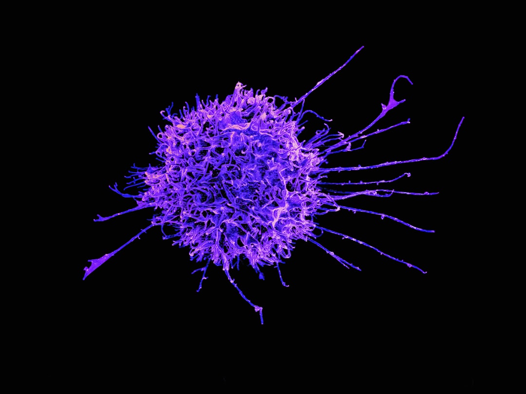 Immune system