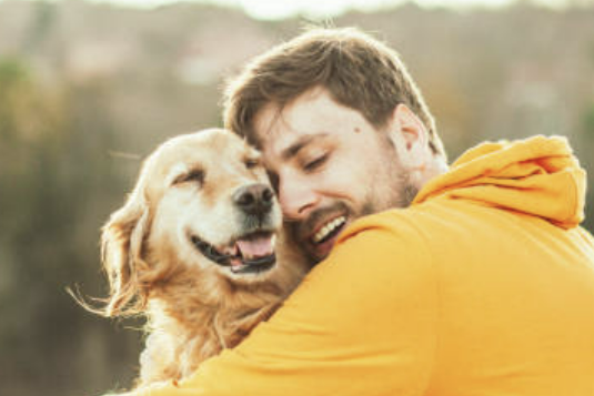 강아지 나이 알아보는 방법ㅣ강아지 나이 환산