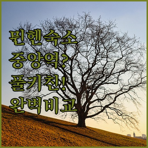 중앙역 근처일까 풀키친일까 당신에게 ..