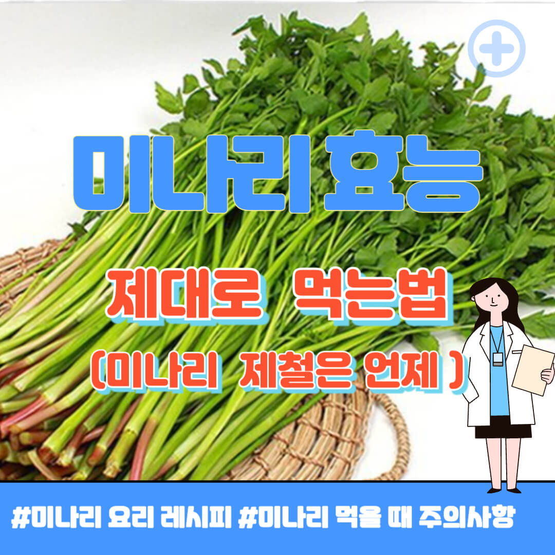 미나리 효능 썸네일