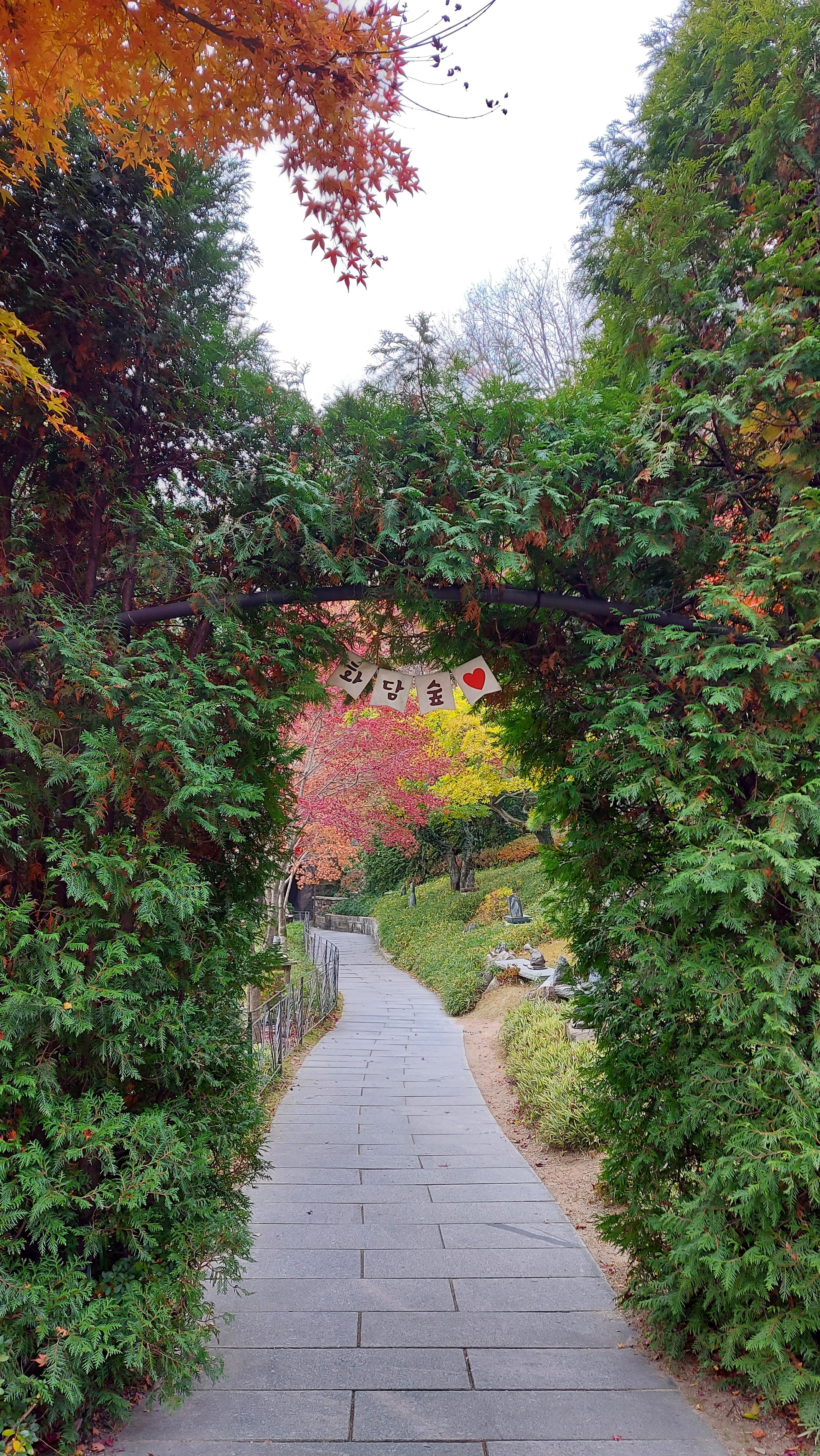 곤지암 화담숲 단풍