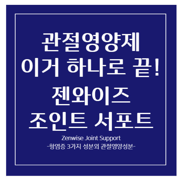 관절영양제 젠와이즈조인트서포트