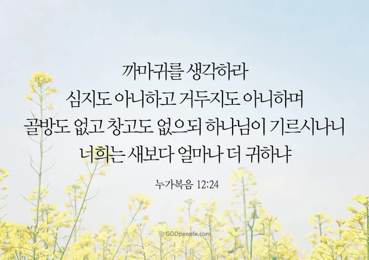 매일성경묵상(누가복음 12장 13-34절) 누가 네 인생의 주인이냐?_2