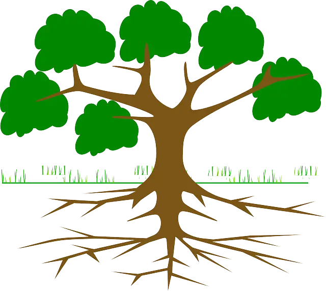 돈으로 인정받고 싶은 마음의 뿌리