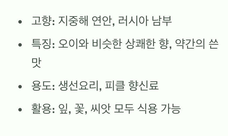 딜, 어떤 허브일까요?