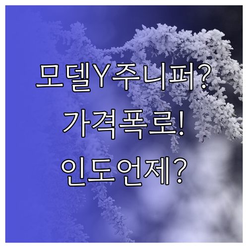 테슬라 모델Y 주니퍼 런치 에디션 가..