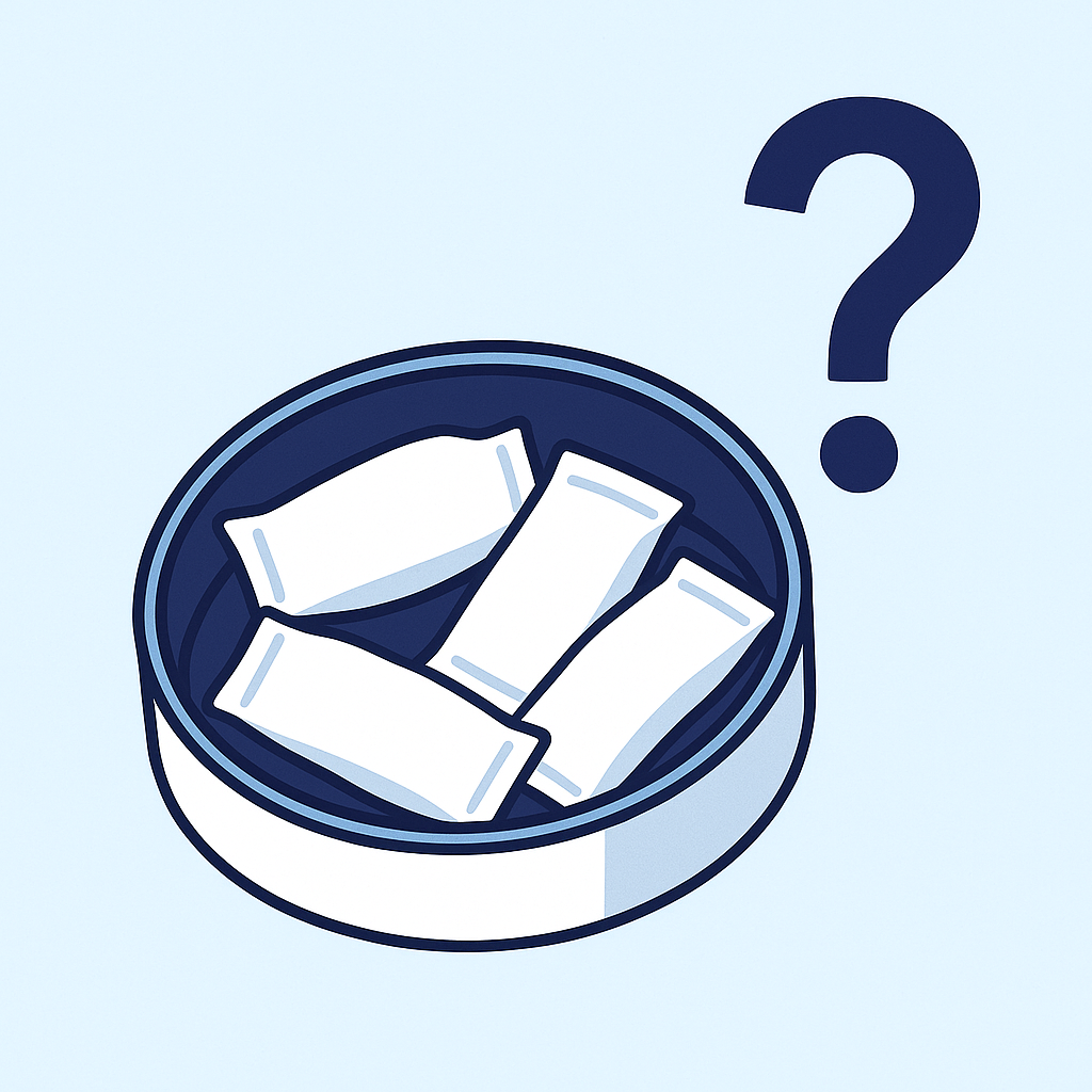 니코틴 파우치,전자담배,금연보조제,타르없는담배,무연담배,흡연대체,청소년흡연,보건정책