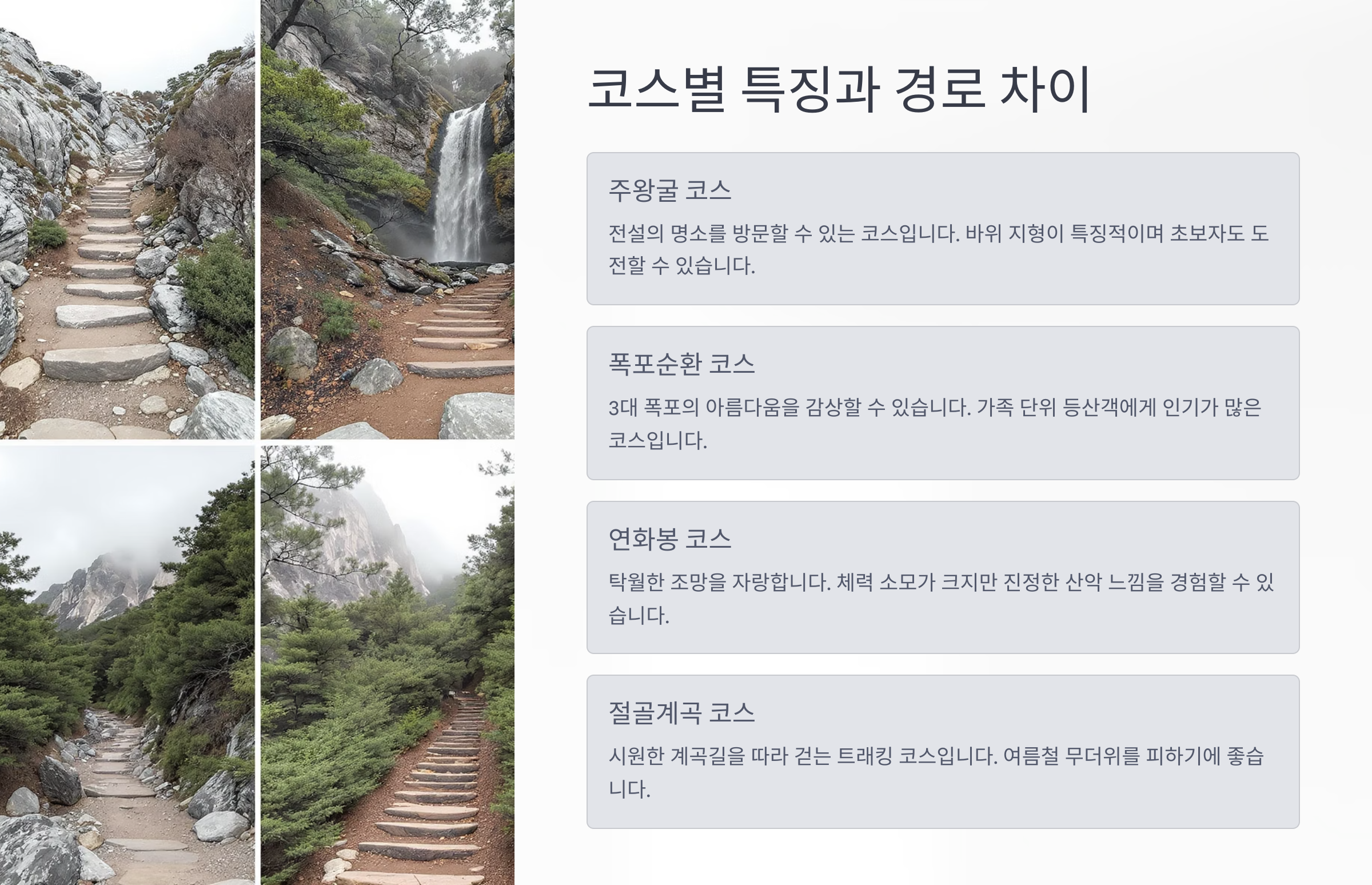코스별 특징과 경로 차이