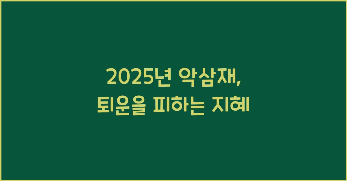 2025년 악삼재