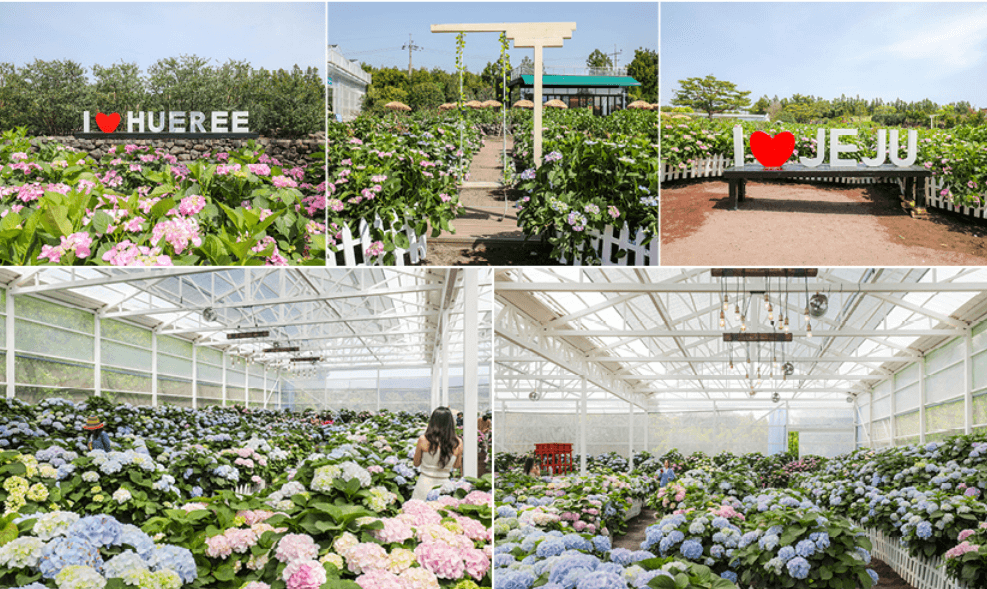 전국 봄꽃 축제