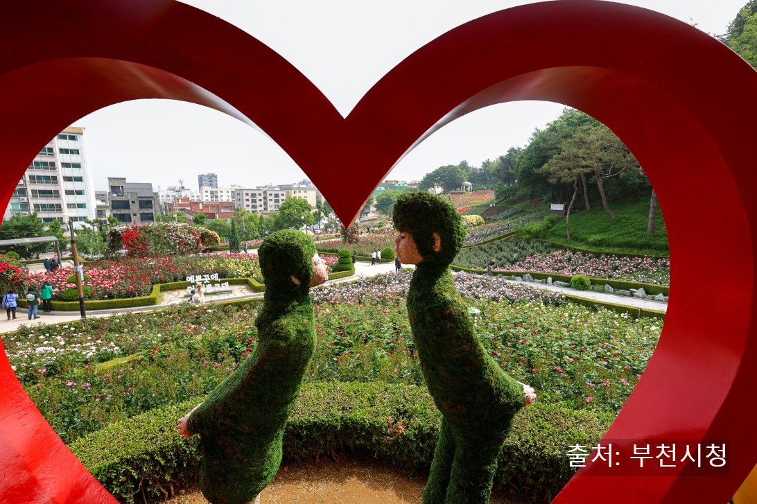 부천 백만송이 장미 도당 공원&amp;#44; 장미꽃 축제 가는 길(꽃말)