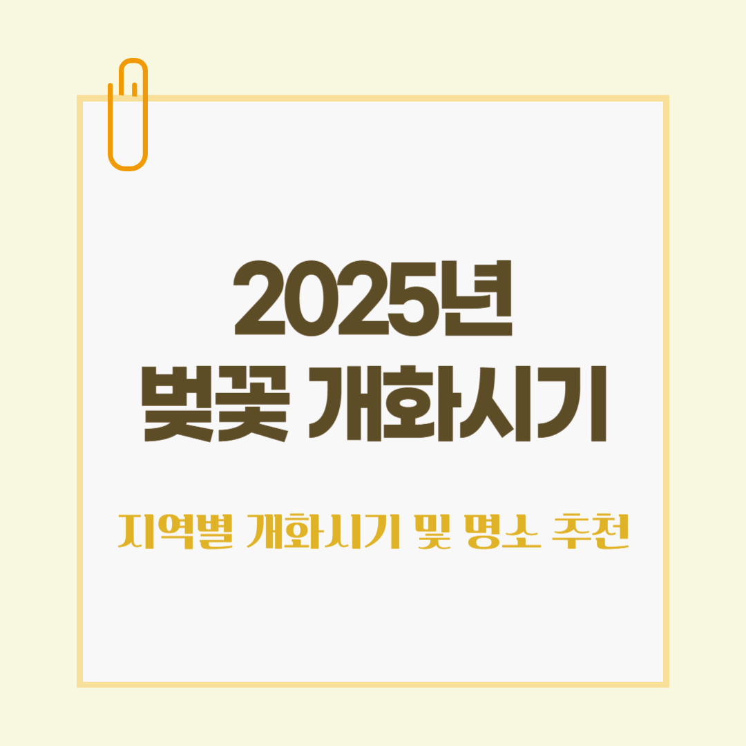 2025년 벚꽃 개화시기 및 명소 추천 - 더 빨라진 개화시기