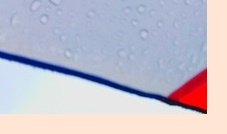 장마 예상 기간 2025년