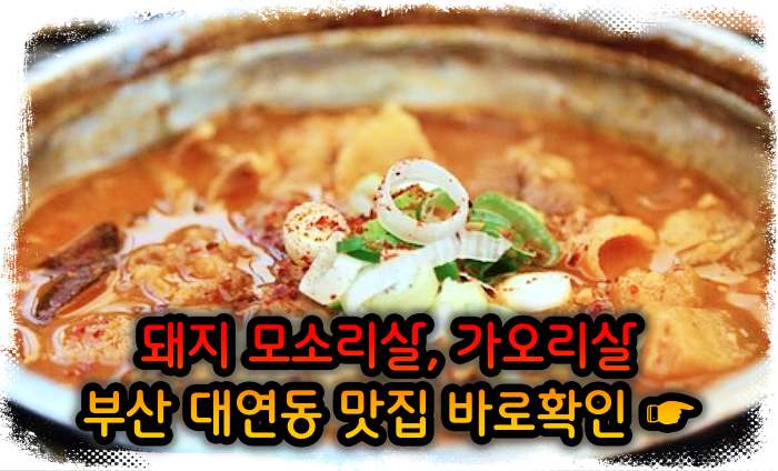 모닝 투데이 부산 대연동 모소리살, 가오리살 맛집