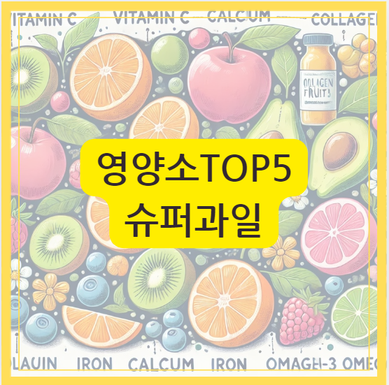 슈퍼과일 영양소 1위에서 5위