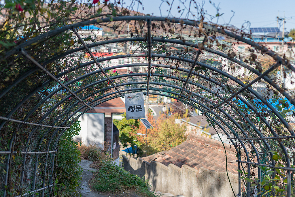 혜화문
성북동
한양도성길
백악구간
서울여행
서울단풍
가을단풍
단풍
성벽
와룡공원