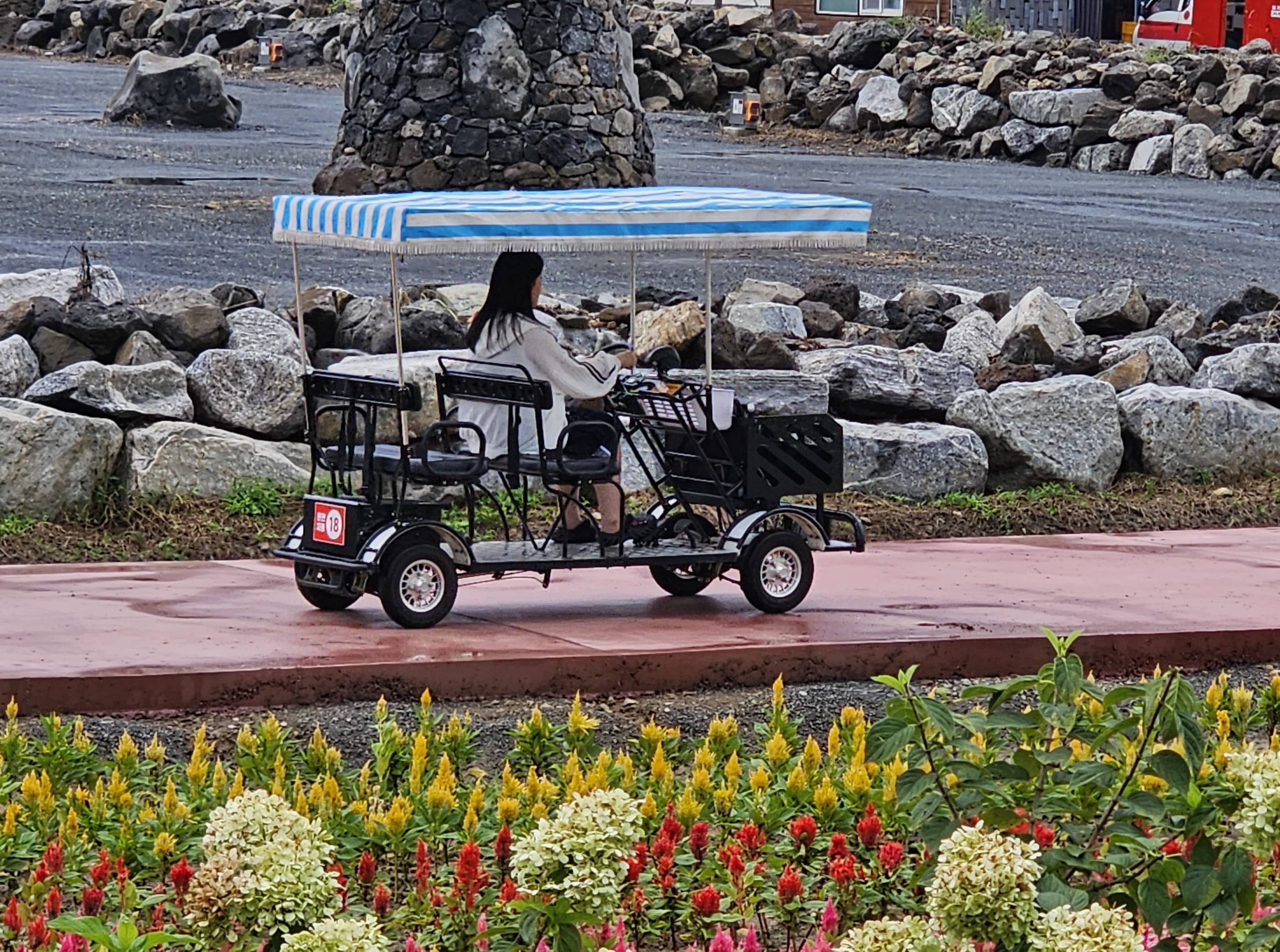 2025 가을 포천 한탄강 가든 페스타