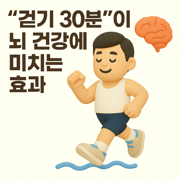 &lsquo;걷기 30분&rsquo;이 뇌 건강에 미치는 놀라운 효과/gpt