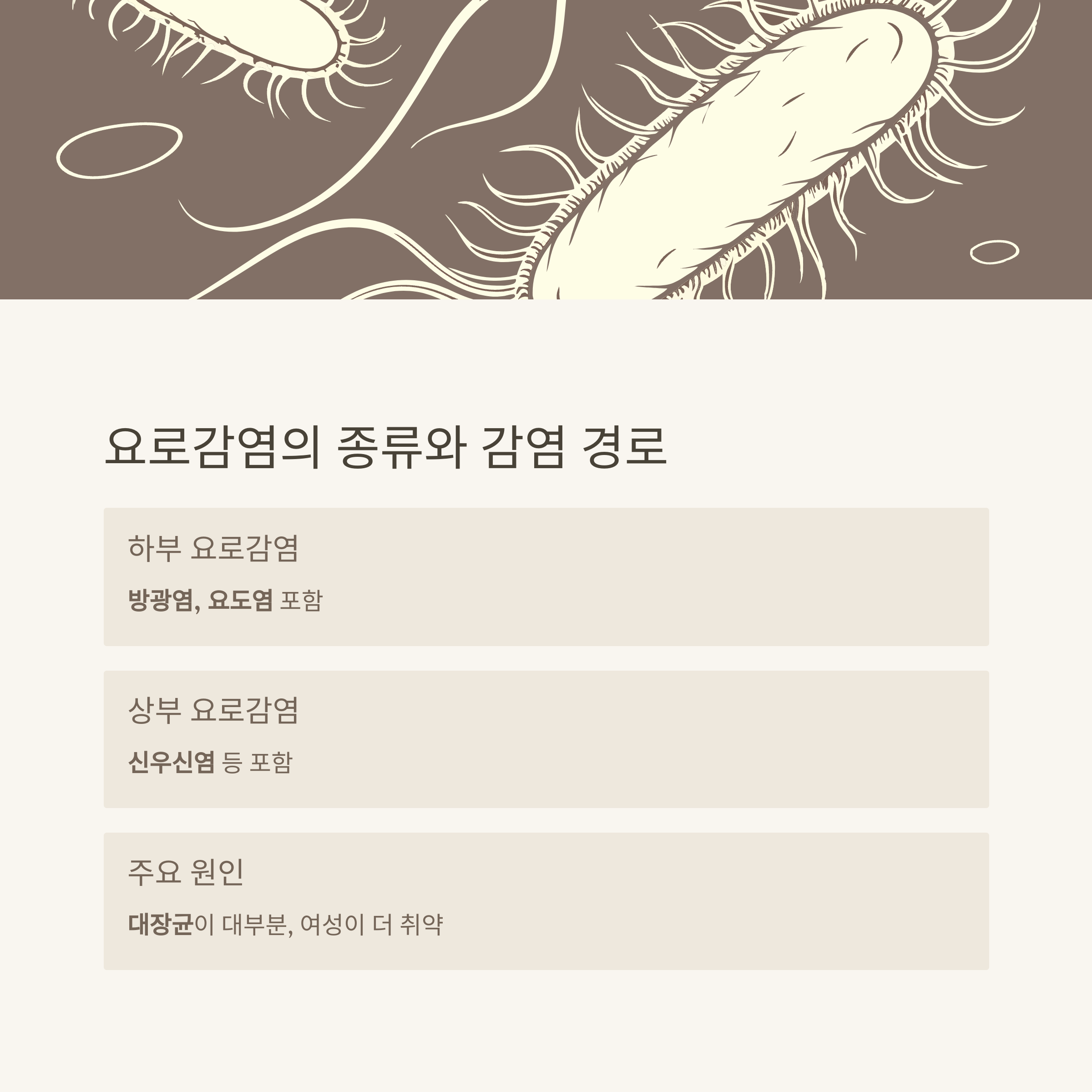 요로감염의 종류와 감염 경로를 아시나요?