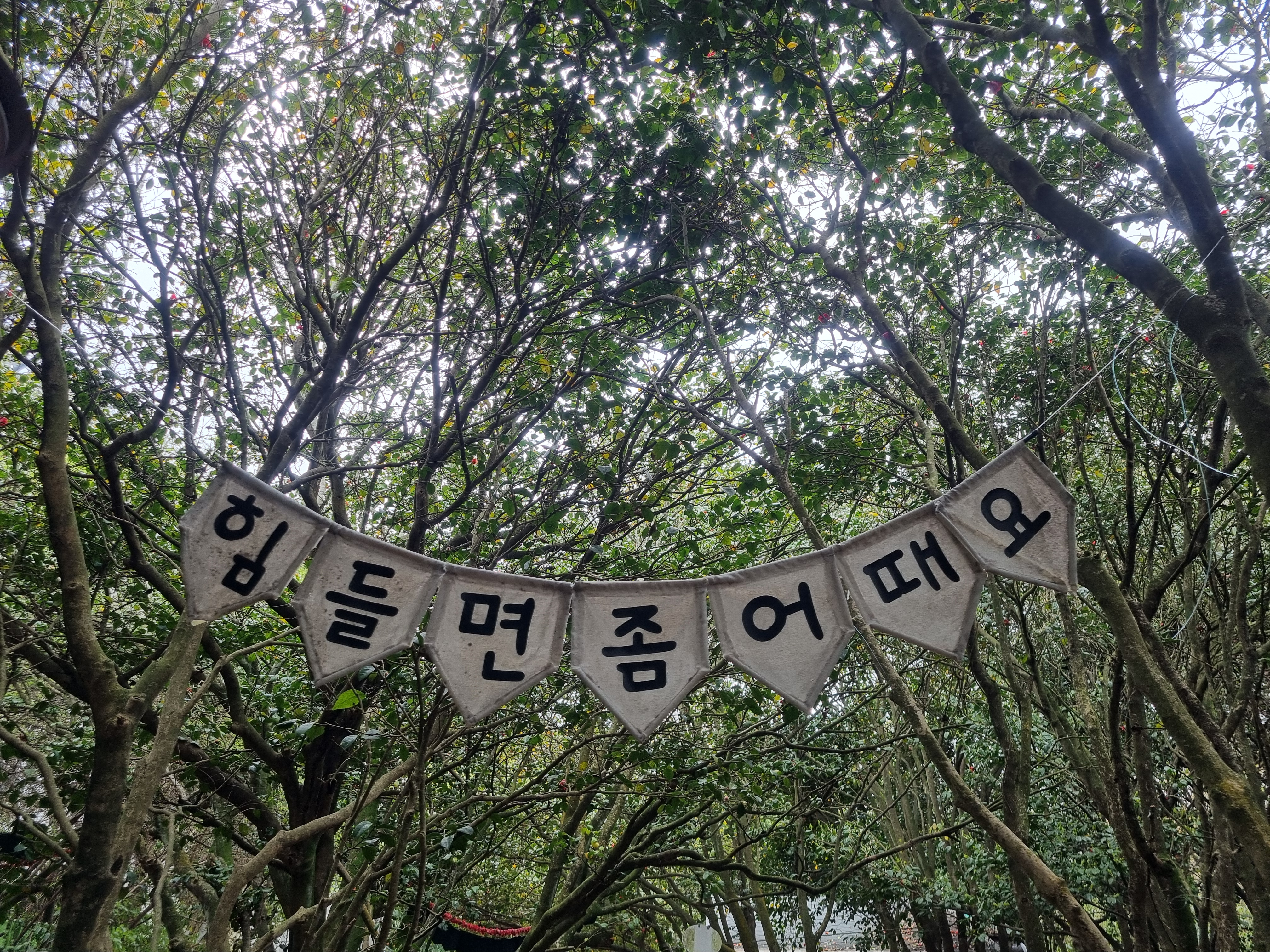 여수 오동도
