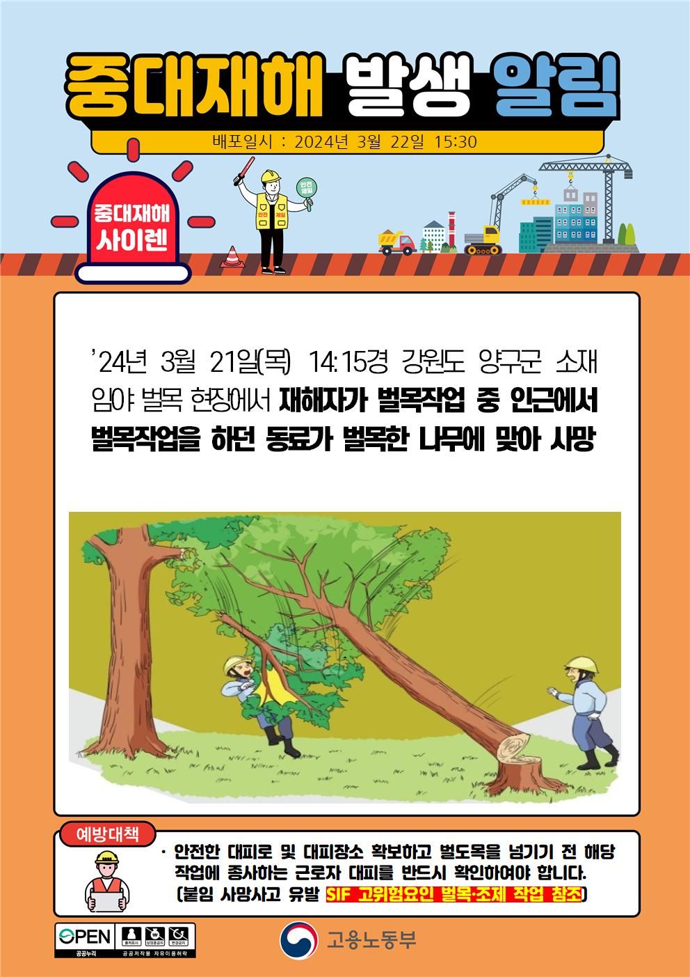 벌목 작업 중 동료가 벌목한 나무에 맞아 사망