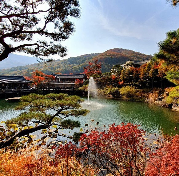 가을 단풍 명소 추천