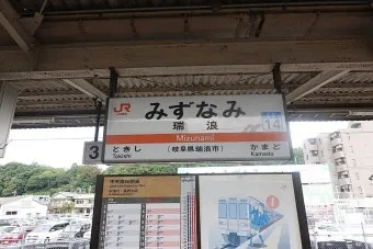 미즈나 재배 직파 요령 빠른 수확 통풍 관리_13