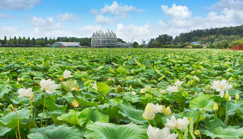 한국관광포토갤러리 김지호