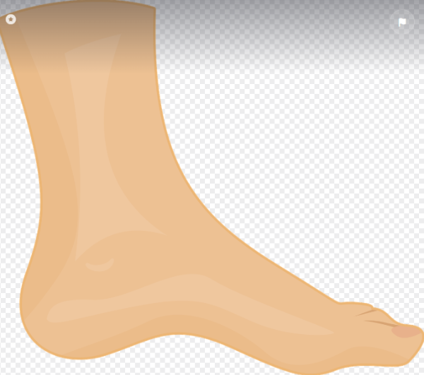 족저근막염 관련 사진