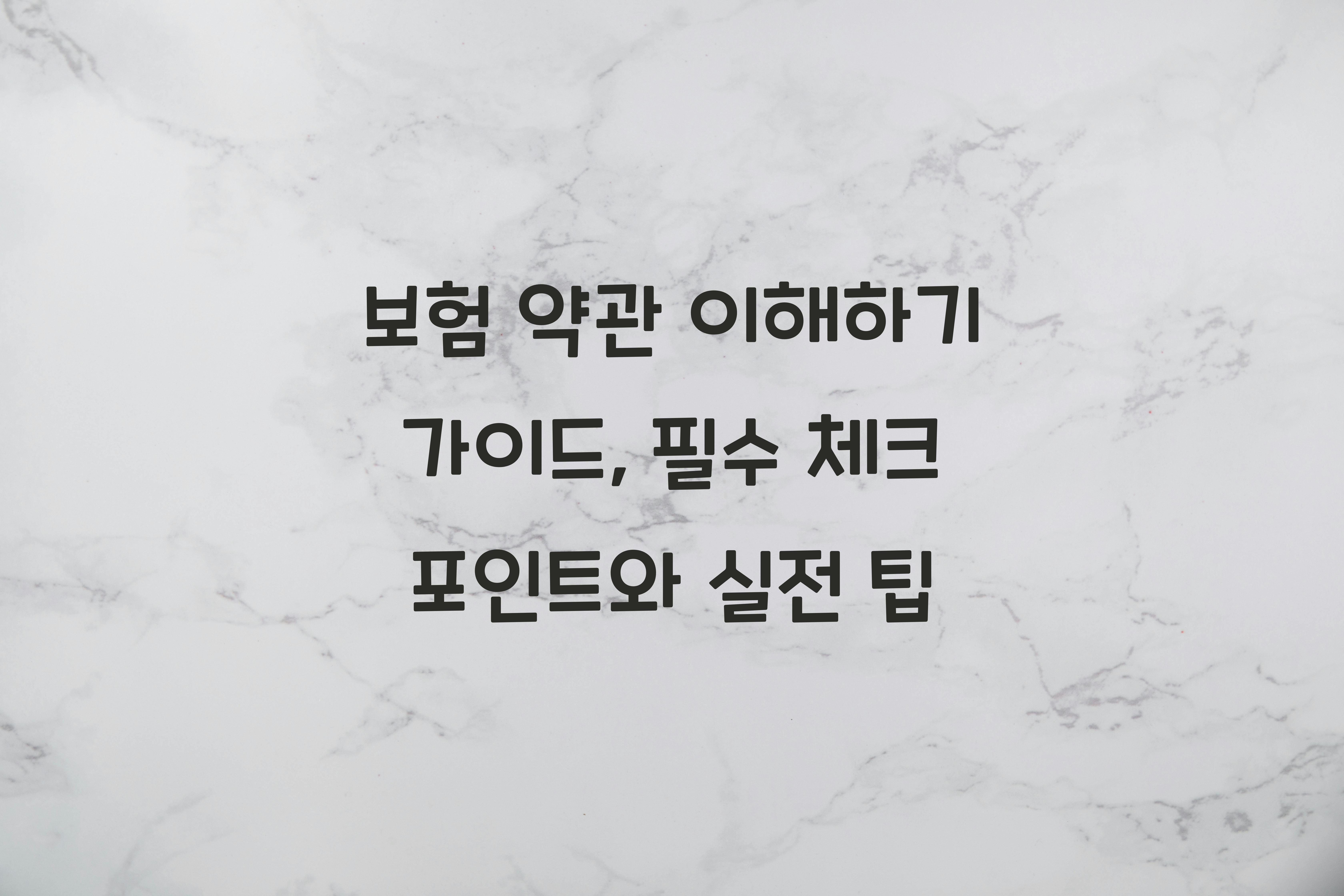 보험 약관 이해하기 가이드