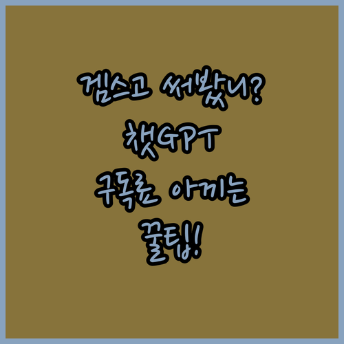 겜스고 써봤니? 챗GPT 유료 구독료