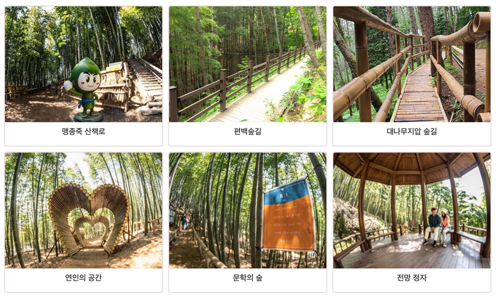 거제맹종죽-테마파크-전경