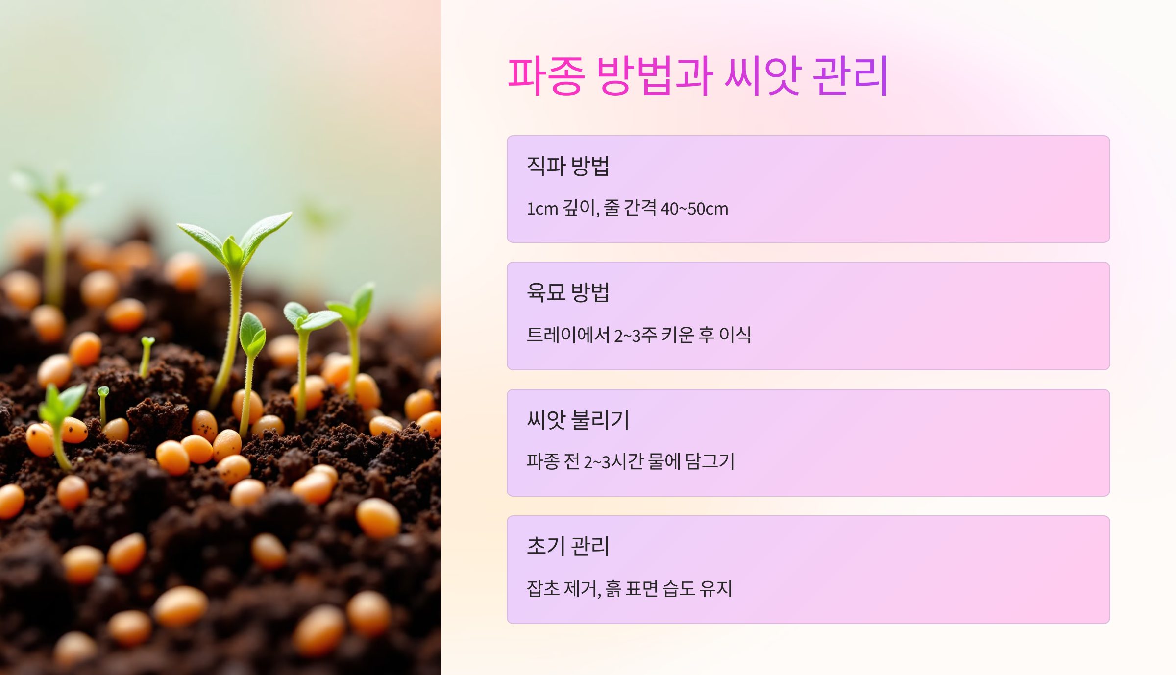 🌱 파종 방법과 씨앗 관리