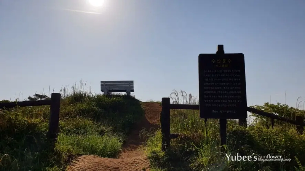 대수산봉 봉수대가 있던 곳