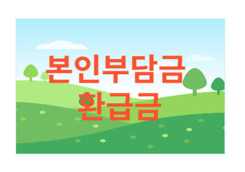 본인부담금 환급금