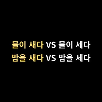 물이 세다 새다 맞춤법 맞는 표현_8