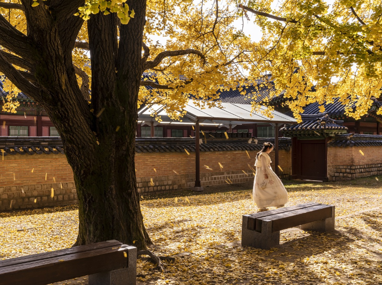 문화유산의 미래와 지속가능한 여행