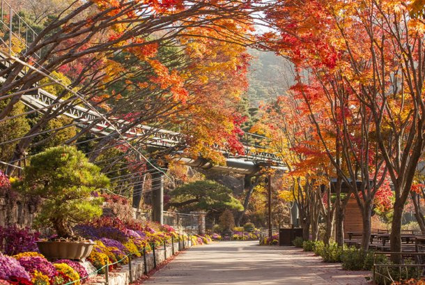 2025 화담숲 예약 성공 팁ㅣ모노레일 이용부터 관람 동선까지