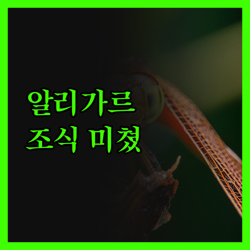 알리가르 여행객 필독! 포춘 파크 호