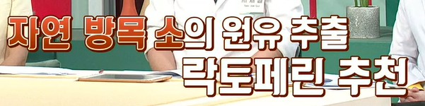 락토페린 부작용