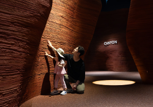 동탄 네이처스케이프 플러스 입장권 할인예매