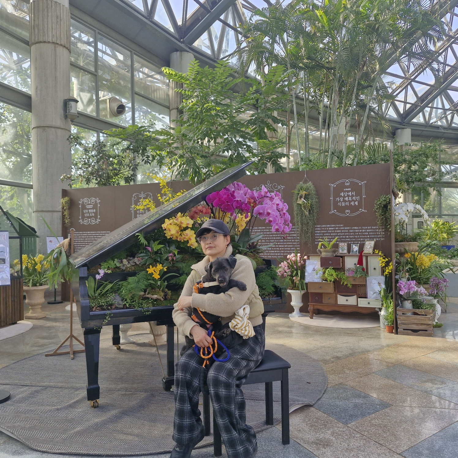 강아지 침대&amp;#44;쇼파에서 땅파기행동하는 진짜이유 7가지