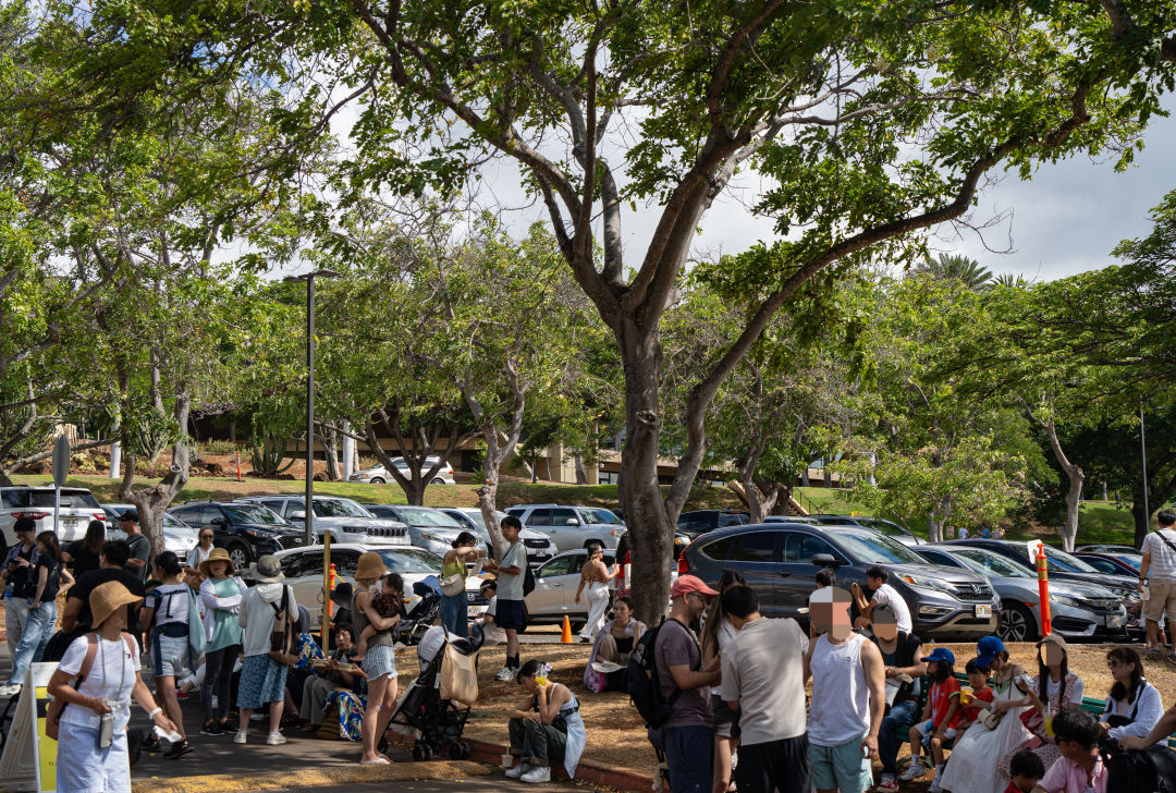 하와이 KCC 파머스 마켓