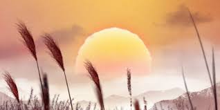 2026년 병오년 원숭이띠 신년운세 정리