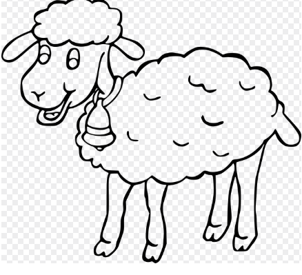 2025년 띠별 운세 총정리